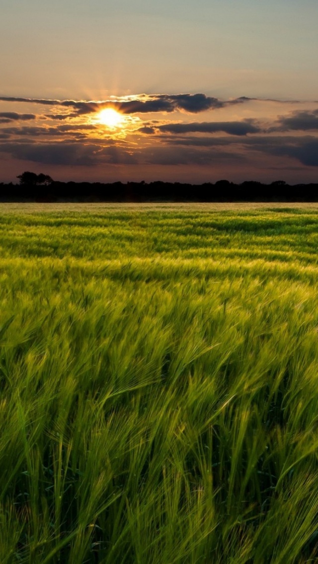 Agricultural Landscape Wide - HD Wallpaper 