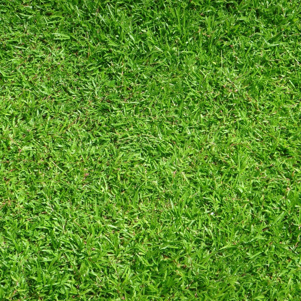 Abjabj Grass Wallpapers, Ll - Green Grass - HD Wallpaper 