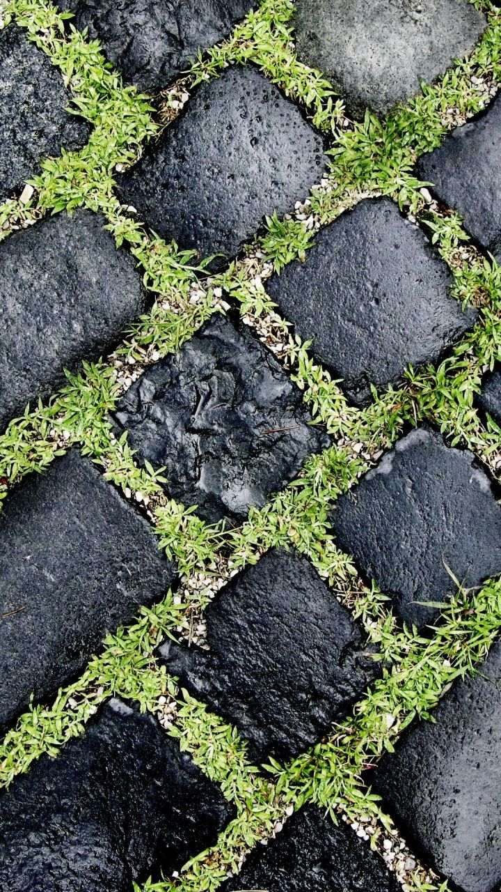 Stone Grass - HD Wallpaper 