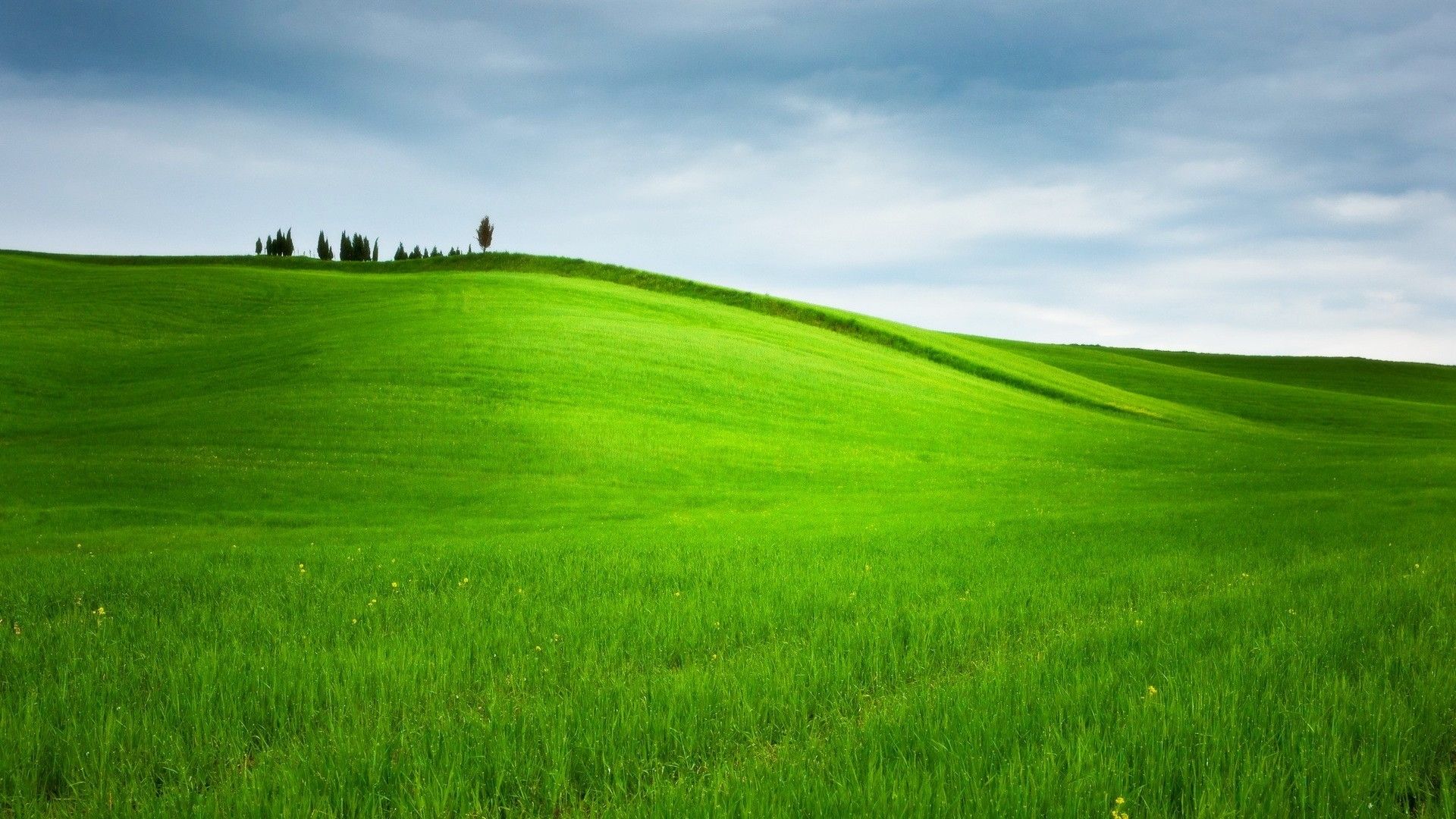 Green Hill Summer Wallpaper - Green Hills Background - HD Wallpaper 