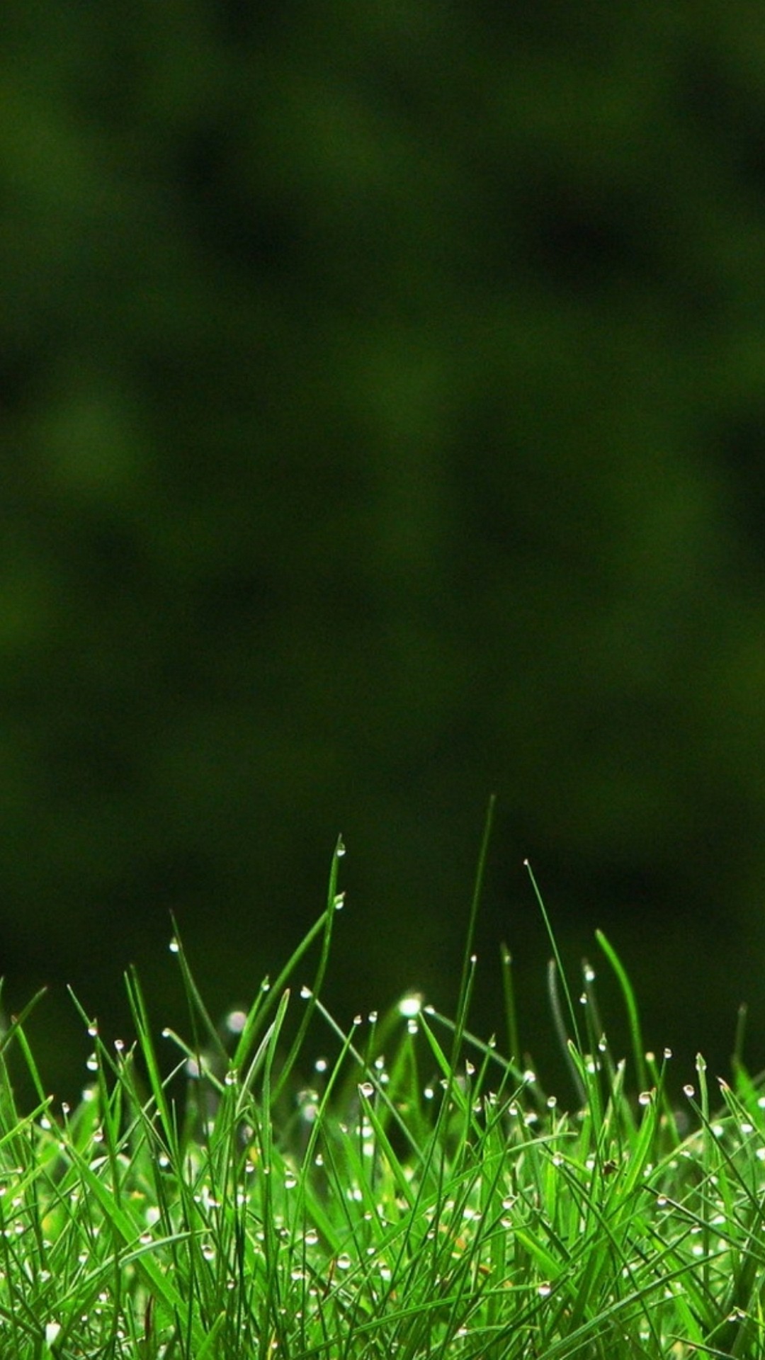 Iphone 8 Wallpaper Black And Green With Image Resolution Black And