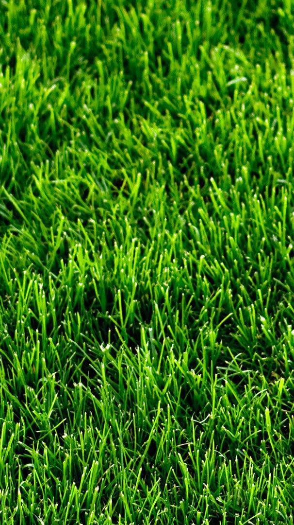 Iphone - HD Wallpaper 