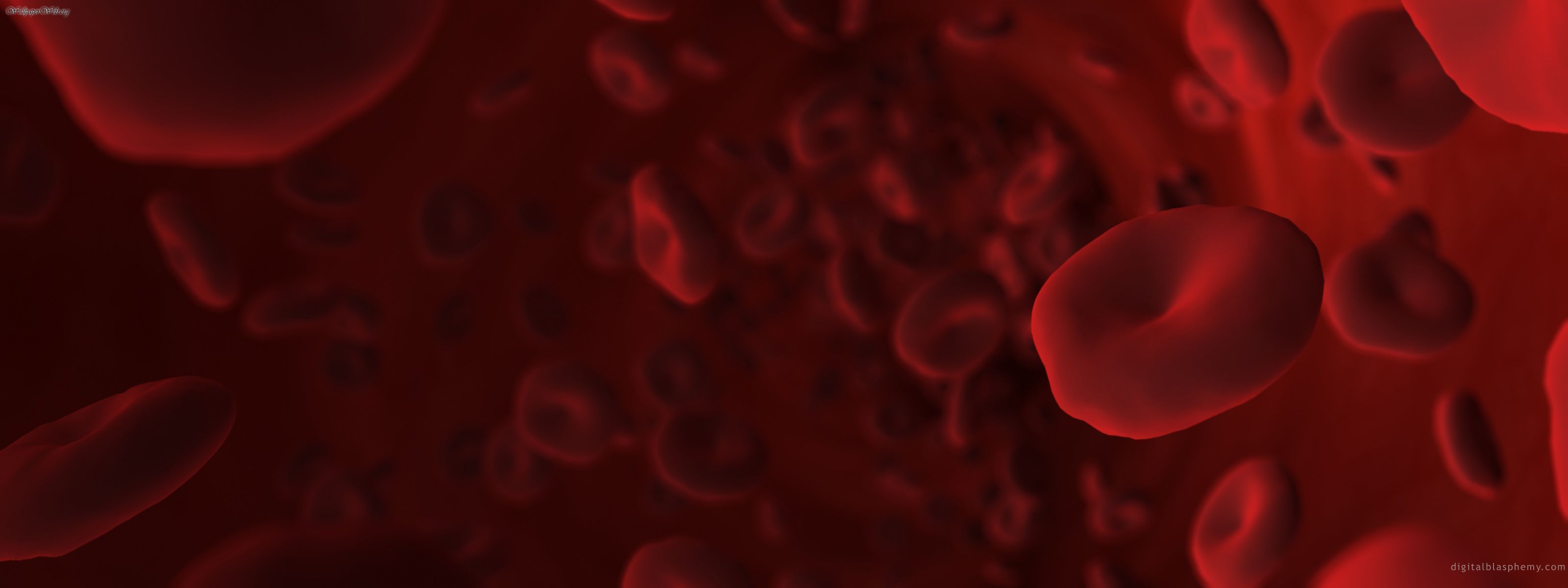 Imagenes Sangre - HD Wallpaper 