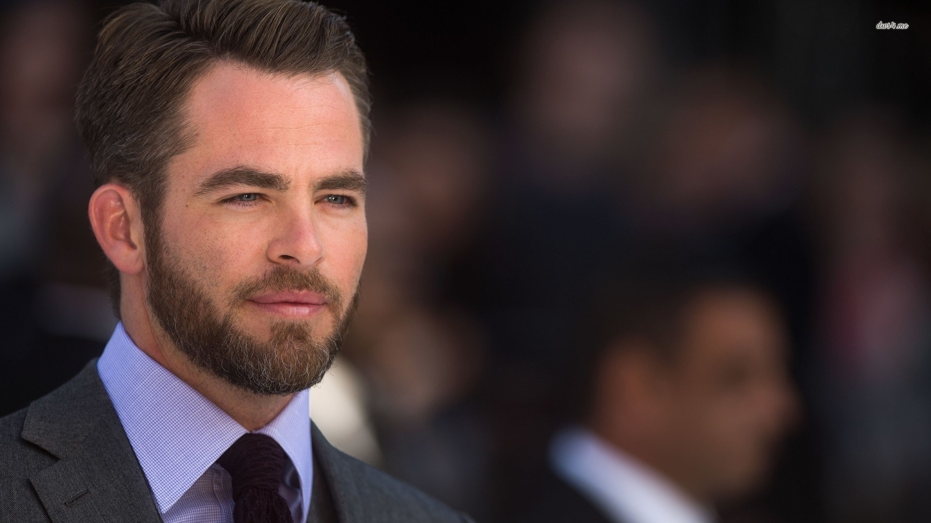 Wallpaper - HD Wallpaper 