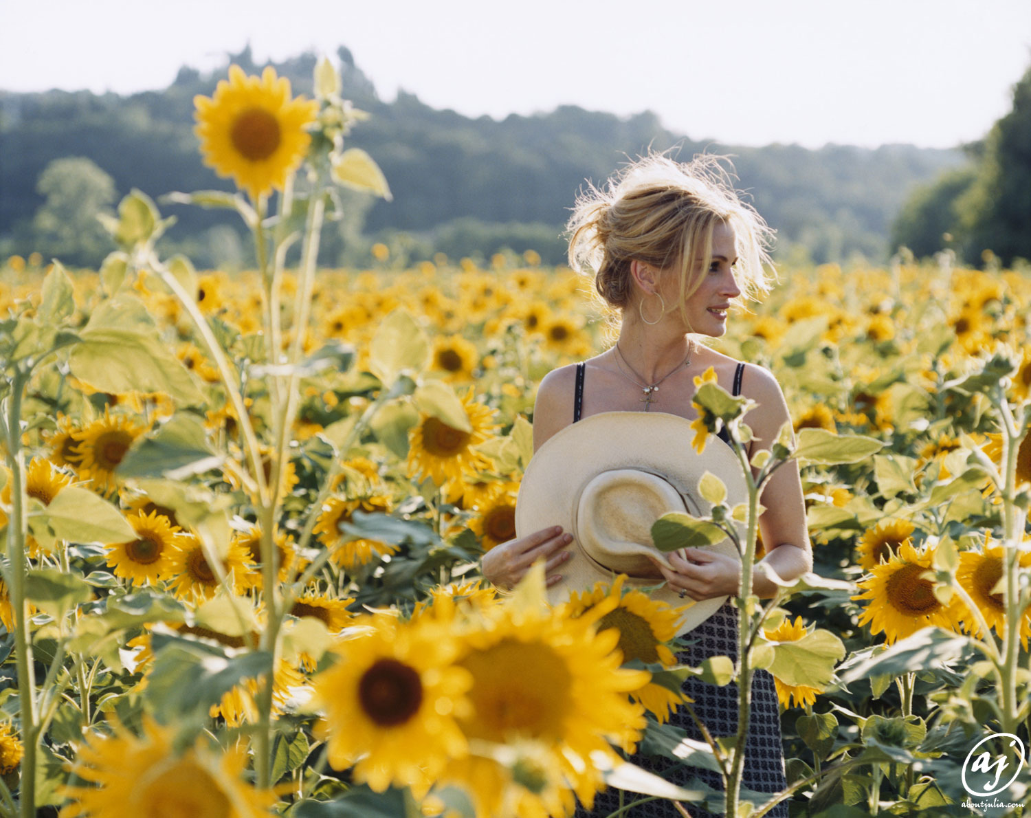 Julia Roberts Sunflowers - HD Wallpaper 
