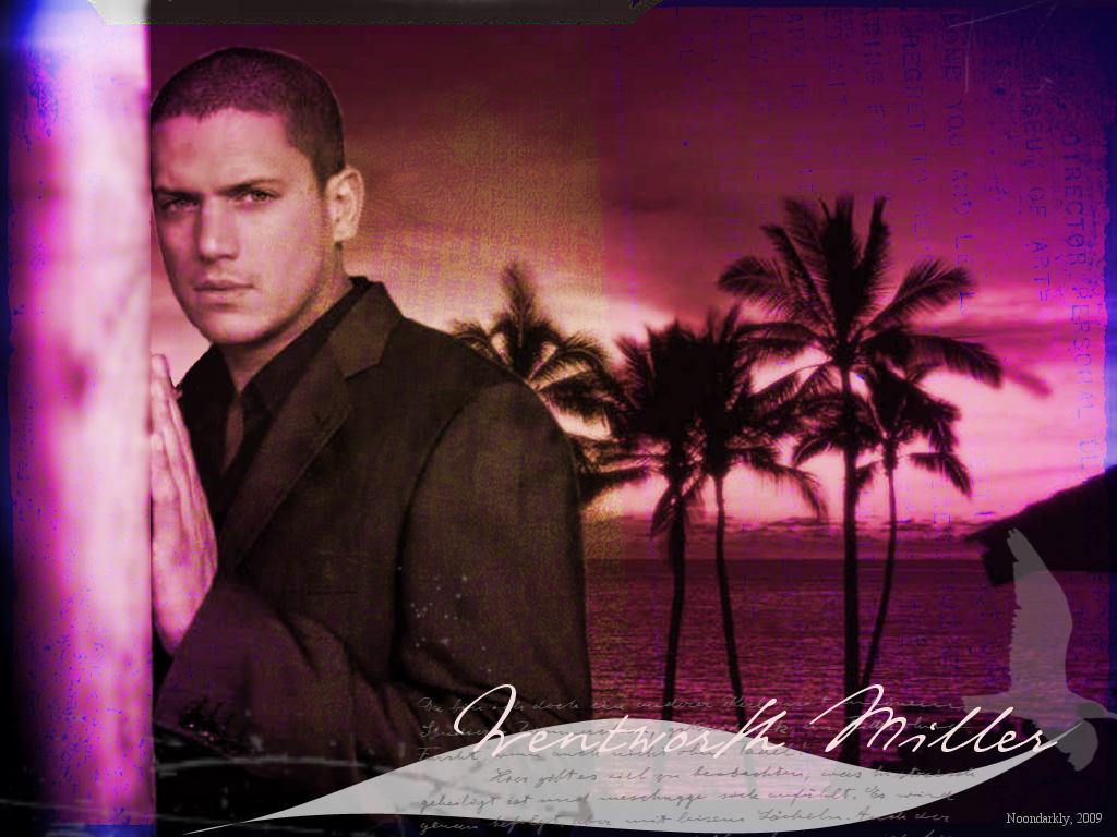 Wentworth Miller - HD Wallpaper 