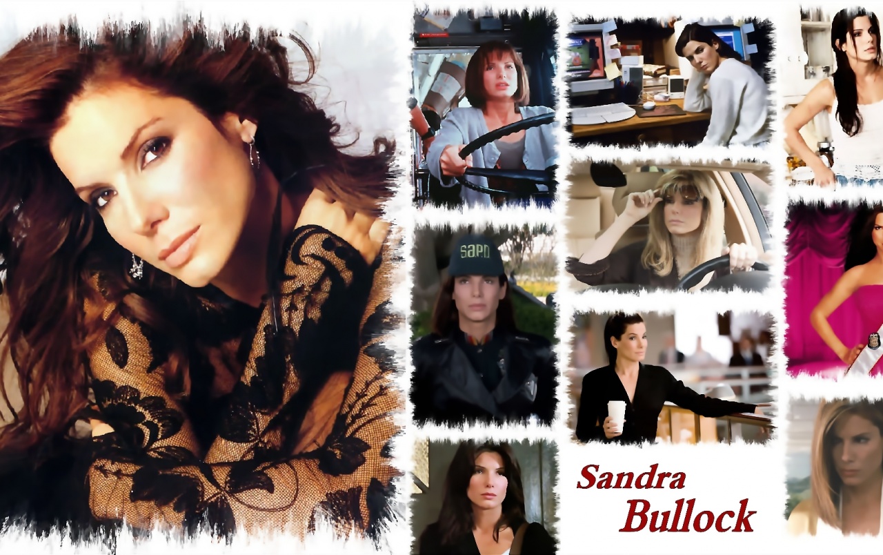 Sandra Bullock Wallpapers - Sandra Bullock Photo Collage - HD Wallpaper 