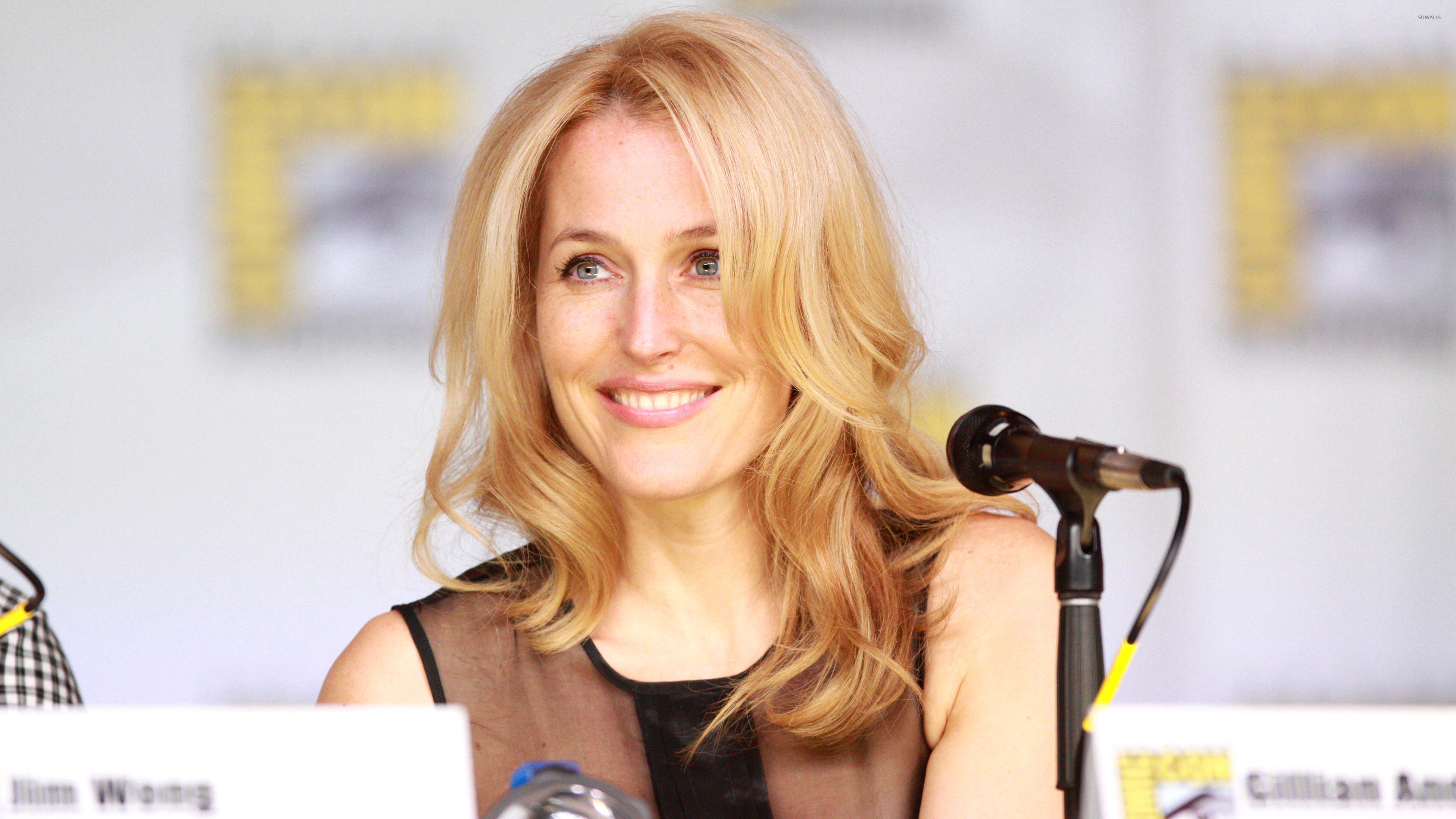 Gillian Anderson High Res - HD Wallpaper 