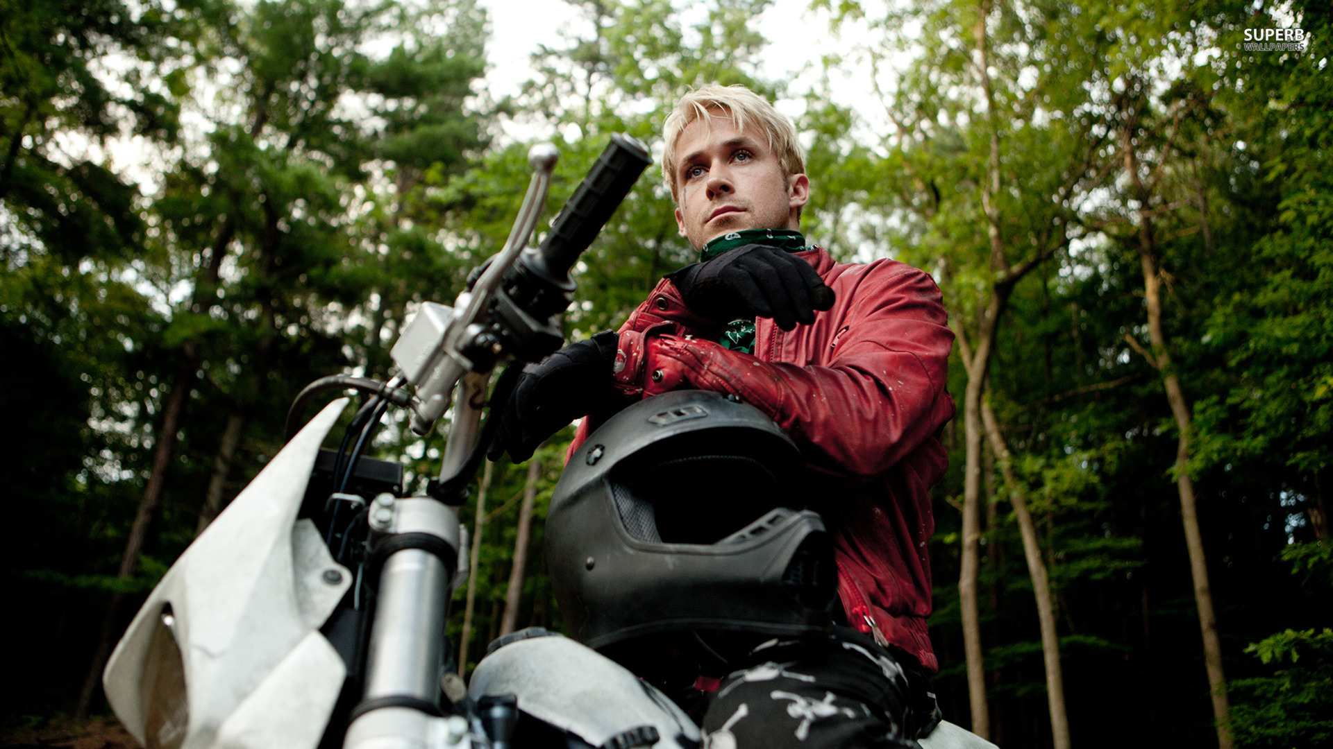 Ryan Gosling Wallpaper - HD Wallpaper 