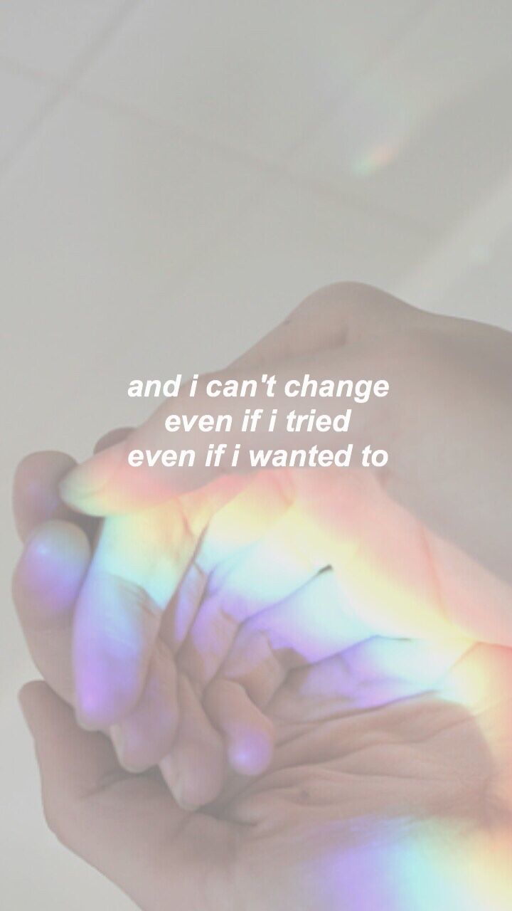 Macro Photography - HD Wallpaper 