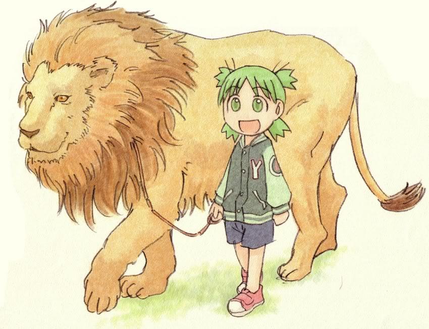 Lion Mammal Cat Like Mammal Vertebrate Nose Cartoon - Yotsuba Animals Kangaroo - HD Wallpaper 