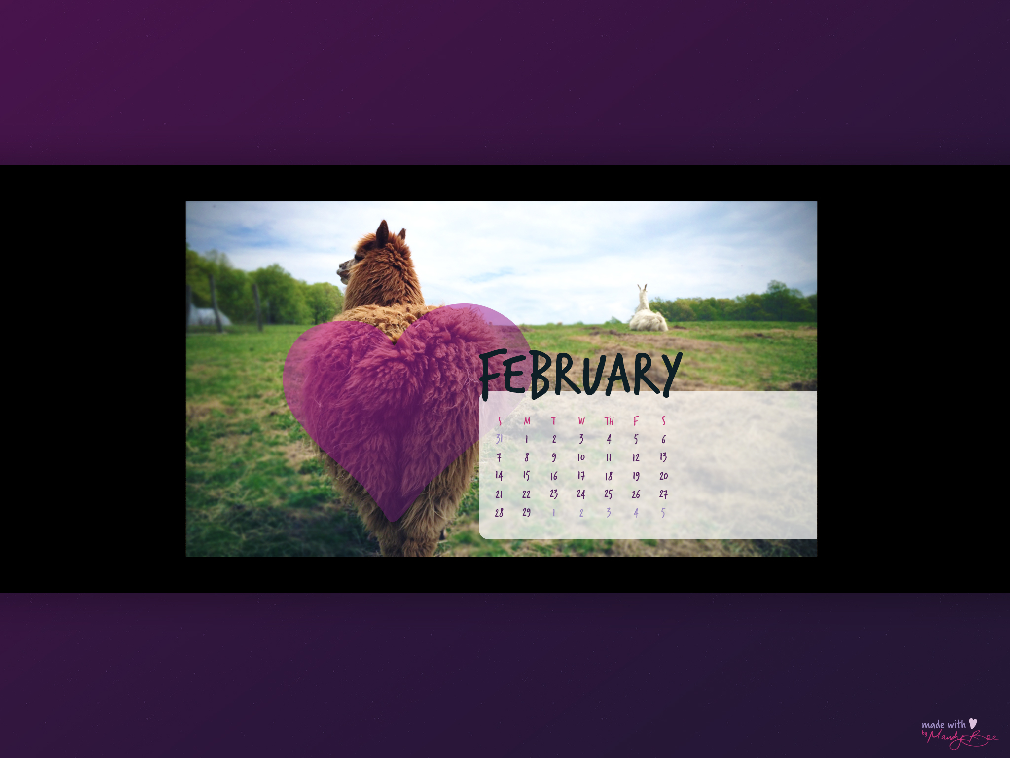 Ipad Alpaca Wallpaper - Flat Panel Display - HD Wallpaper 