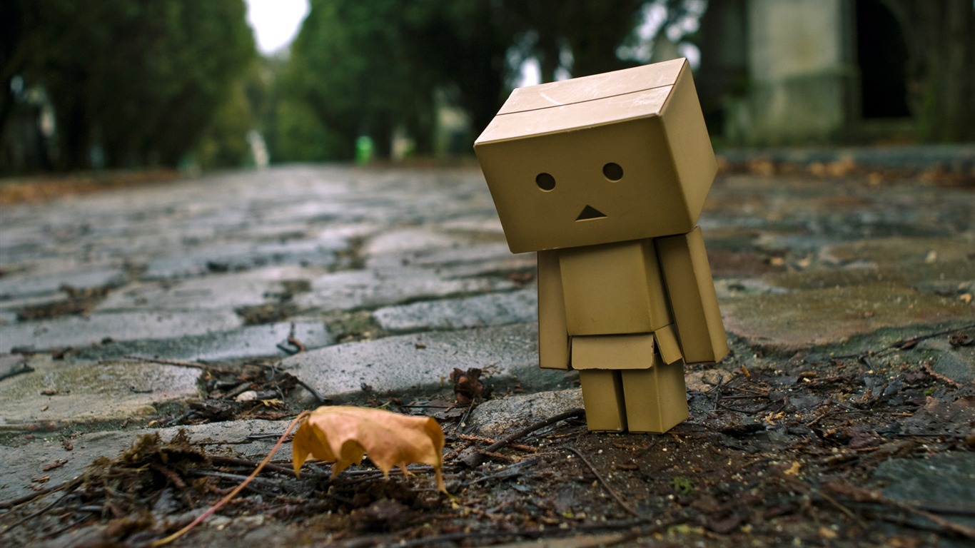 Danbo In Park - Lonely Box - HD Wallpaper 