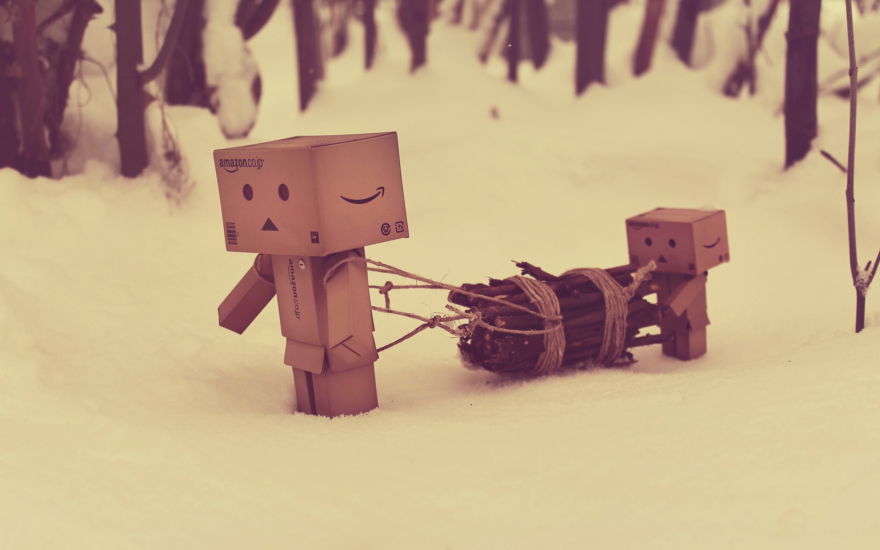 Wallpaper - HD Wallpaper 