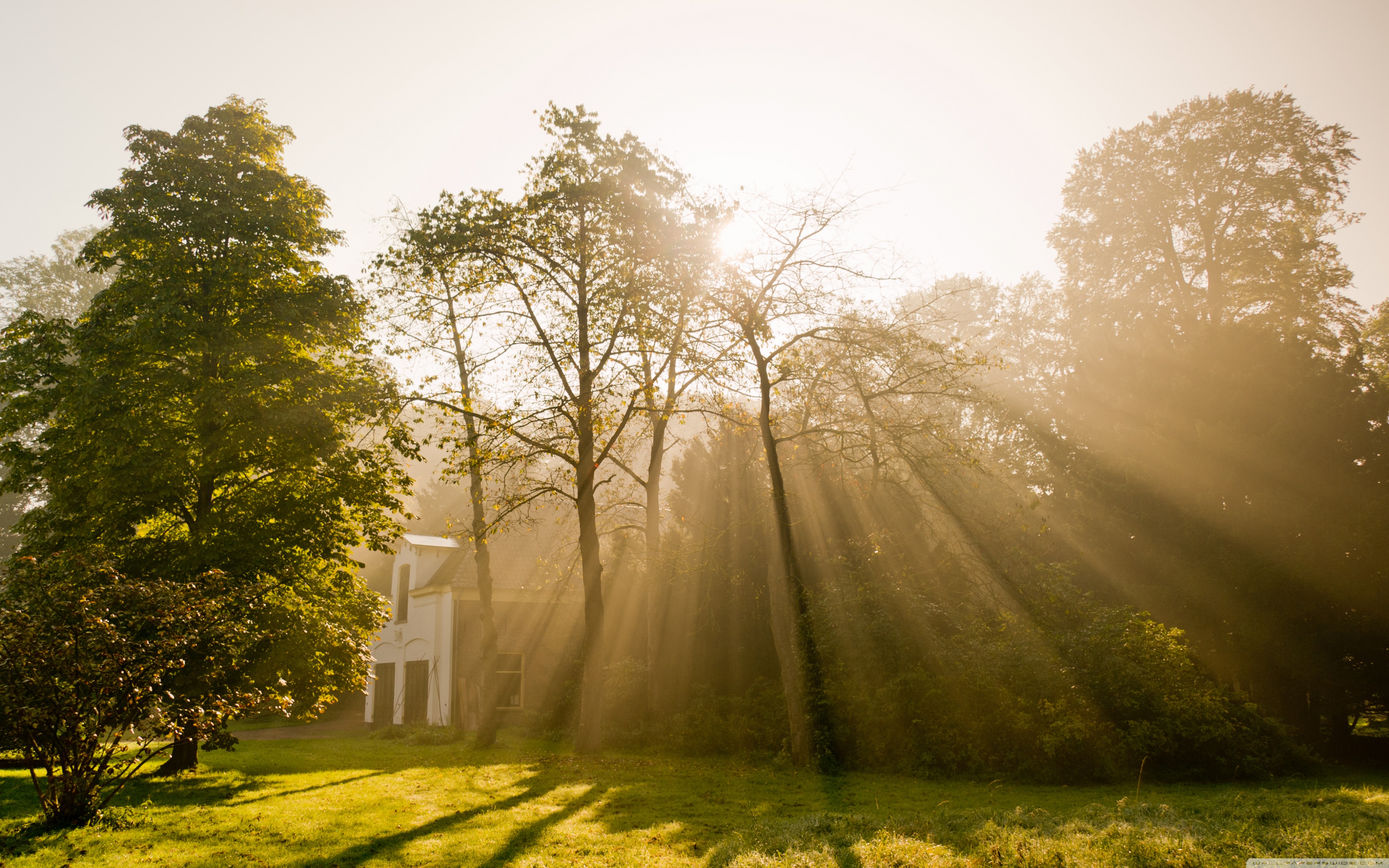 God Rays - HD Wallpaper 