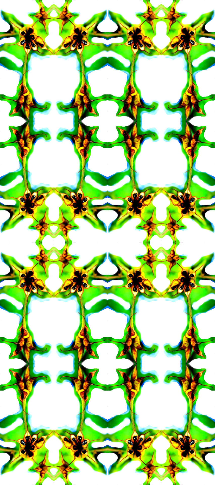 Clip Art - HD Wallpaper 