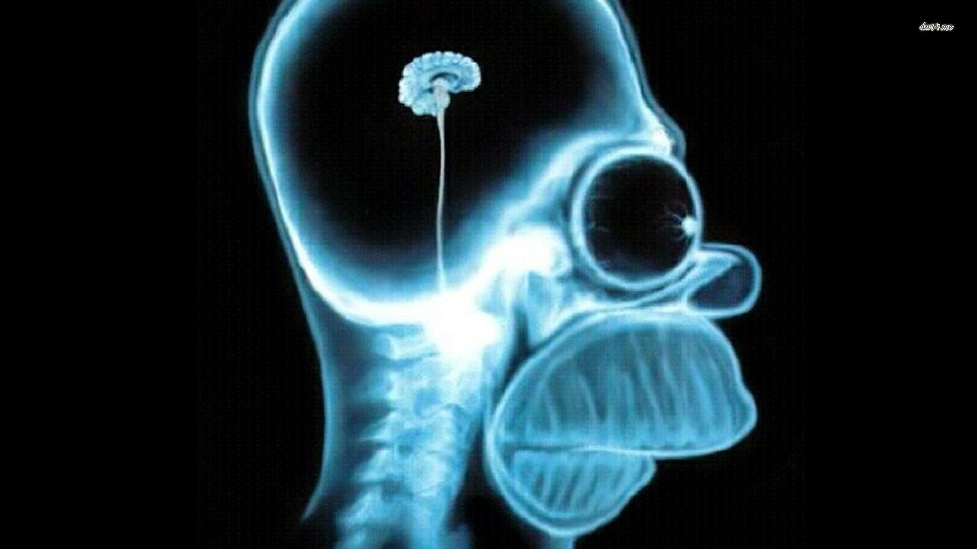 Some Misconceptions About The Reasons - HD Wallpaper 