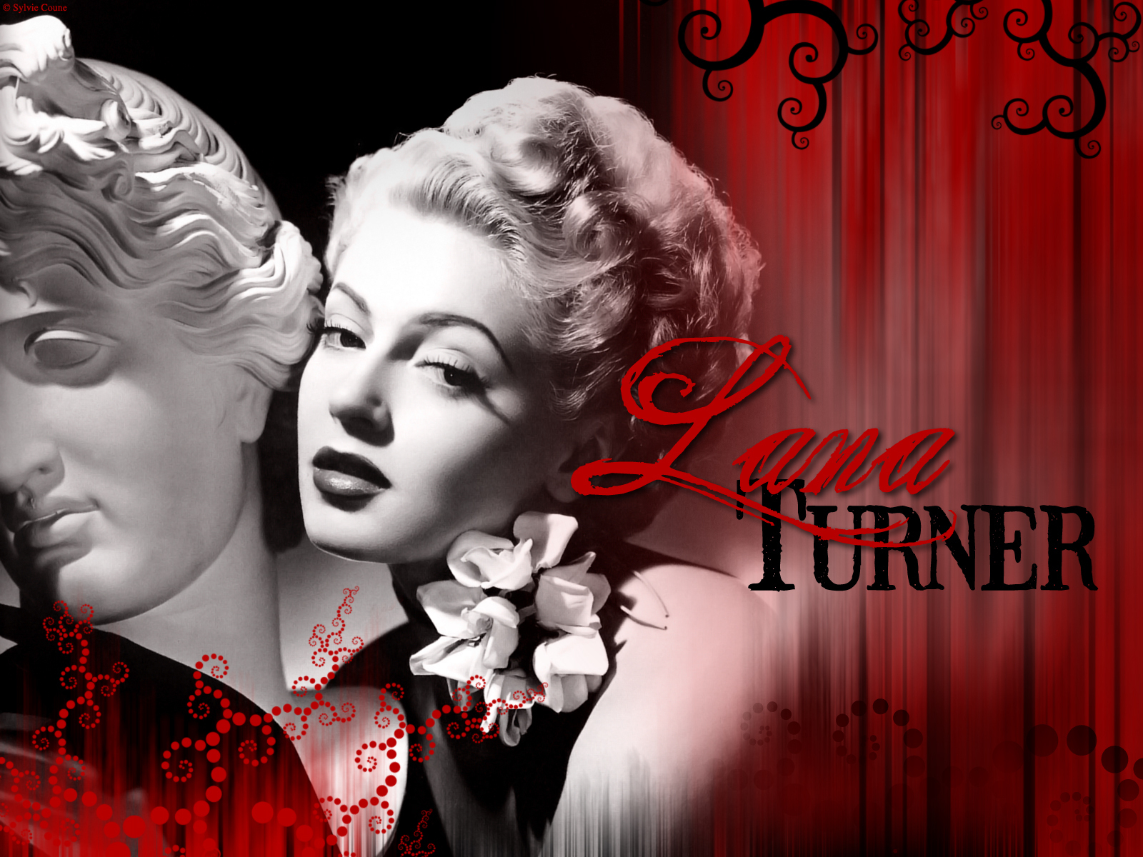 Lana Turner - HD Wallpaper 