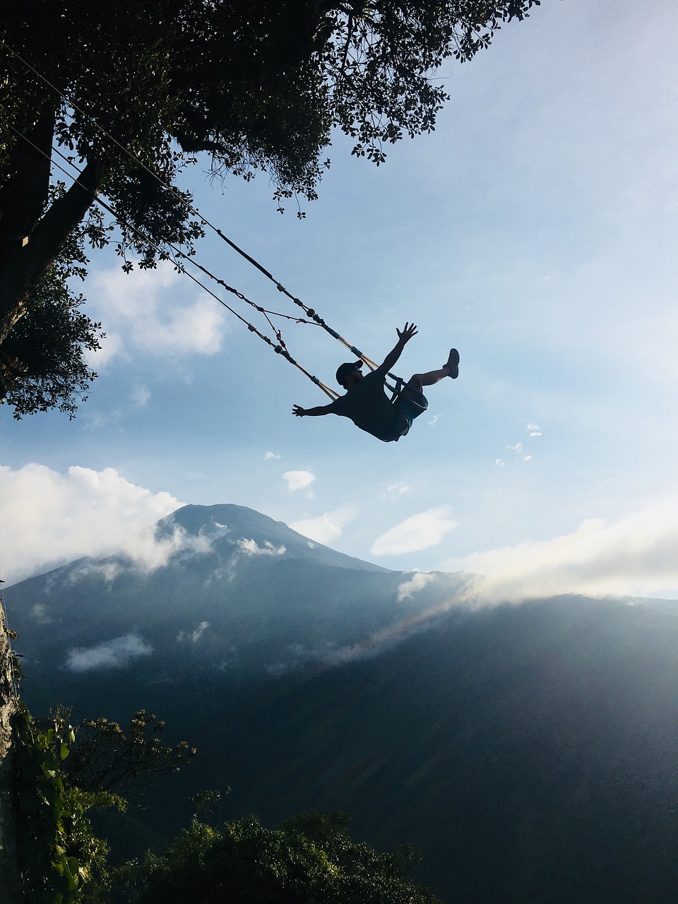 Ecuador Amaca End Of The World Free Photo - Tree - HD Wallpaper 