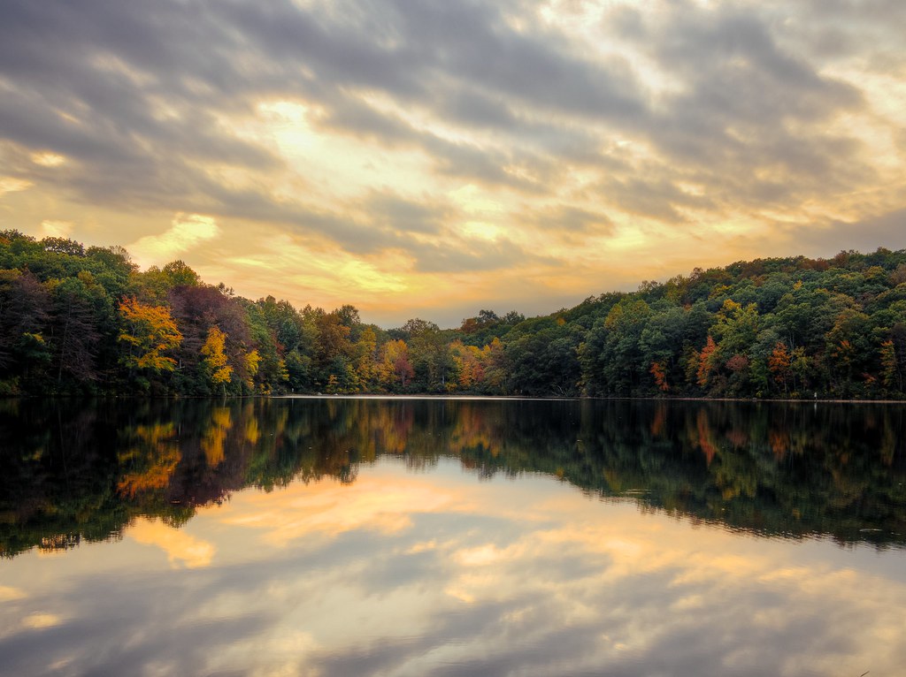 Reflection - HD Wallpaper 