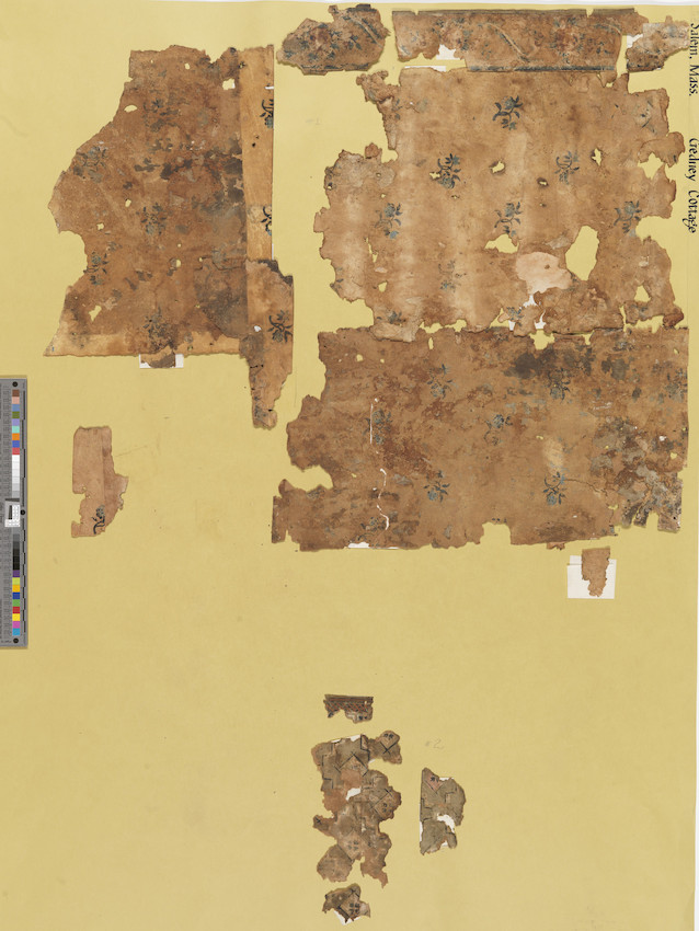 Hardwood - HD Wallpaper 