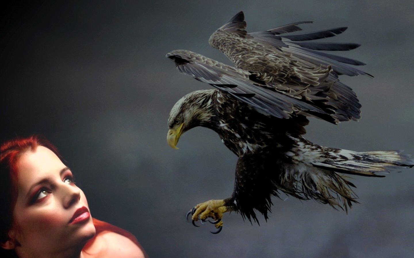 Download Hd Ariel Piper Fawn Desktop Wallpaper Id - California Condor Vs Bald Eagle - HD Wallpaper 