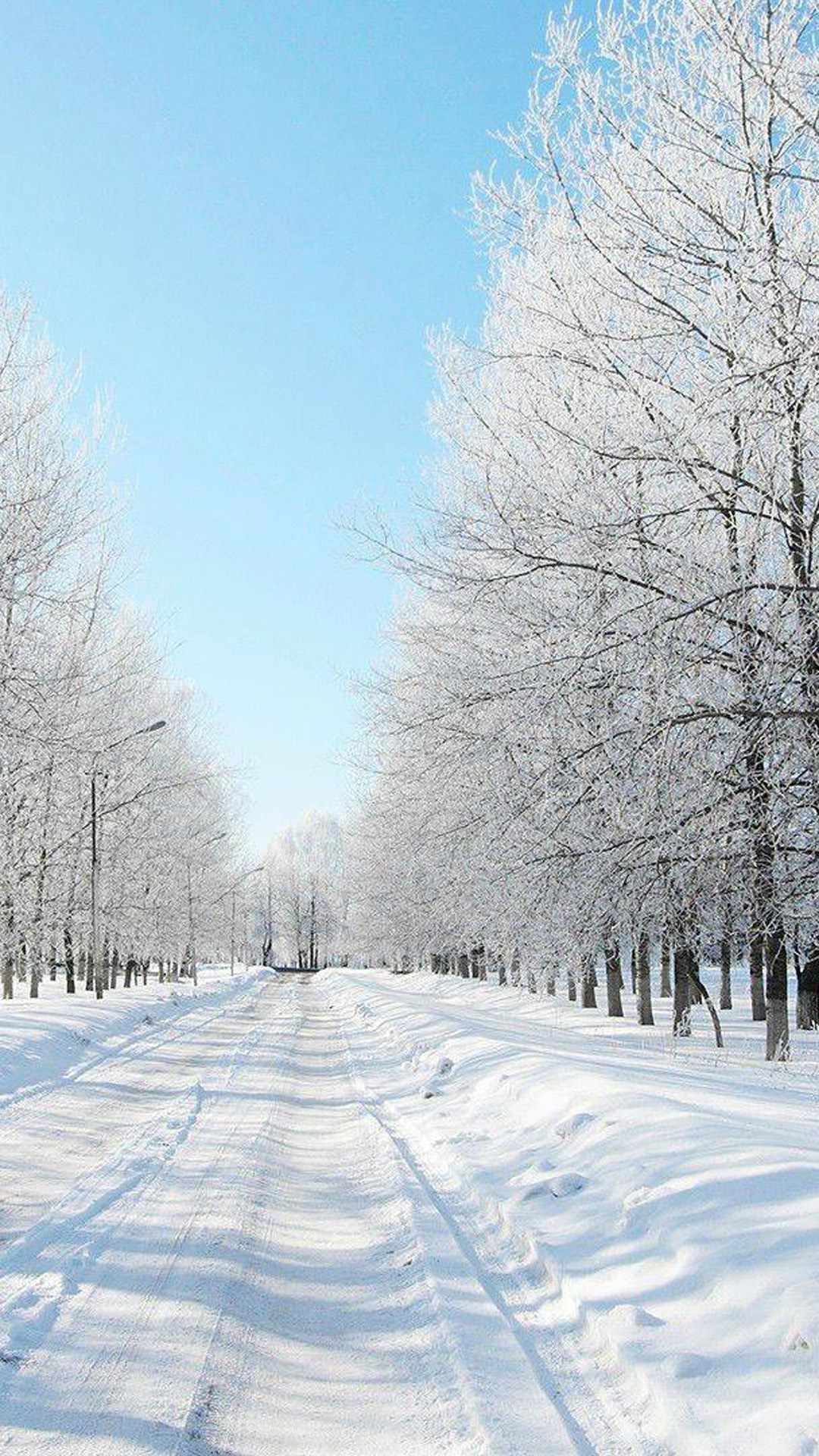 Snow Winter Wallpaper Iphone - HD Wallpaper 