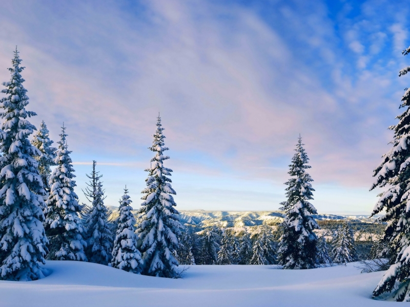 Winter Landscape Full Hd - HD Wallpaper 