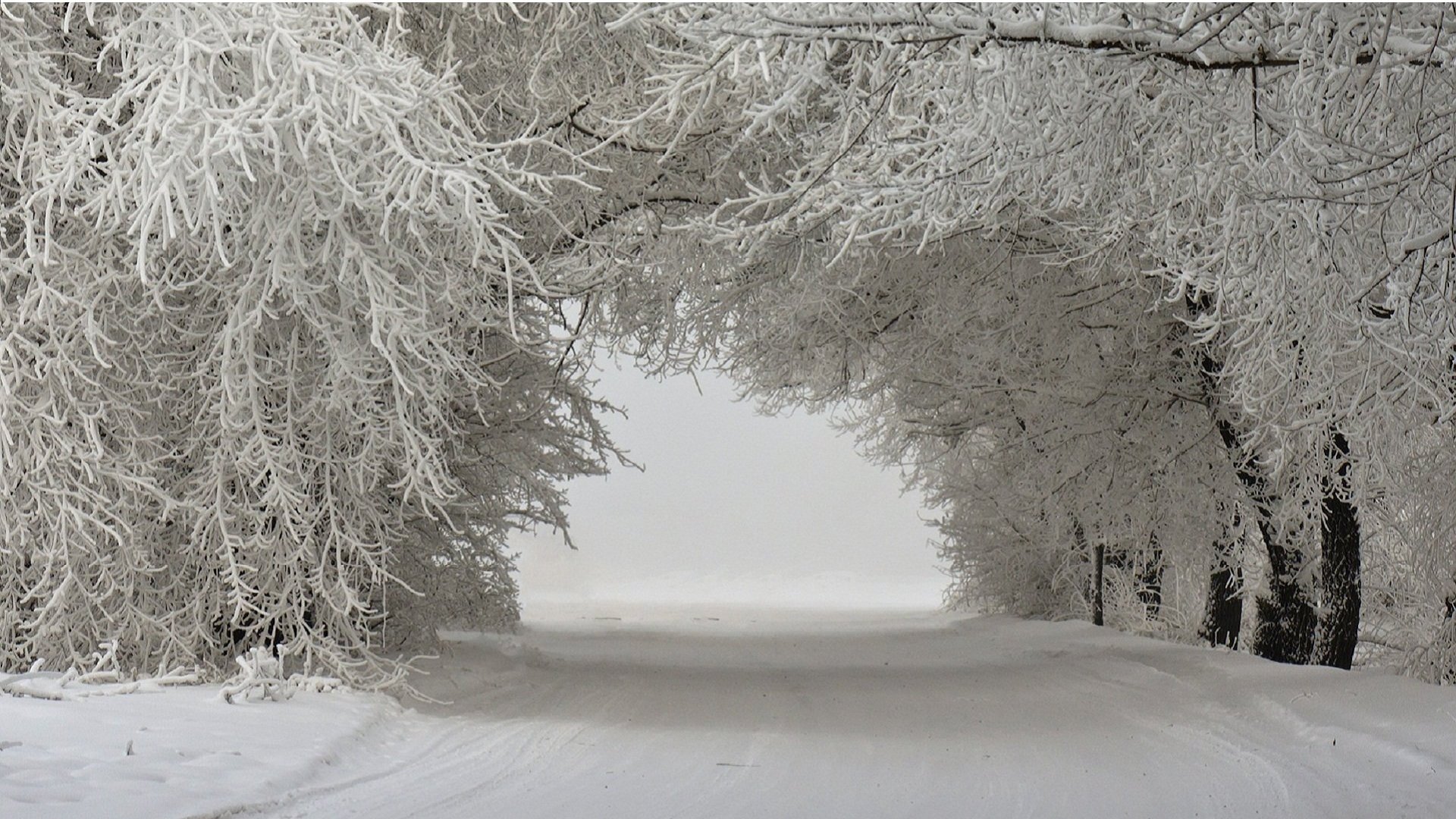 Snow Covered Road With Trees - HD Wallpaper 