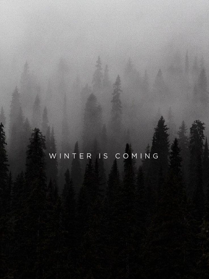 Black And White, Dark, Forest - Game Of Thrones Winter Themed - HD Wallpaper 