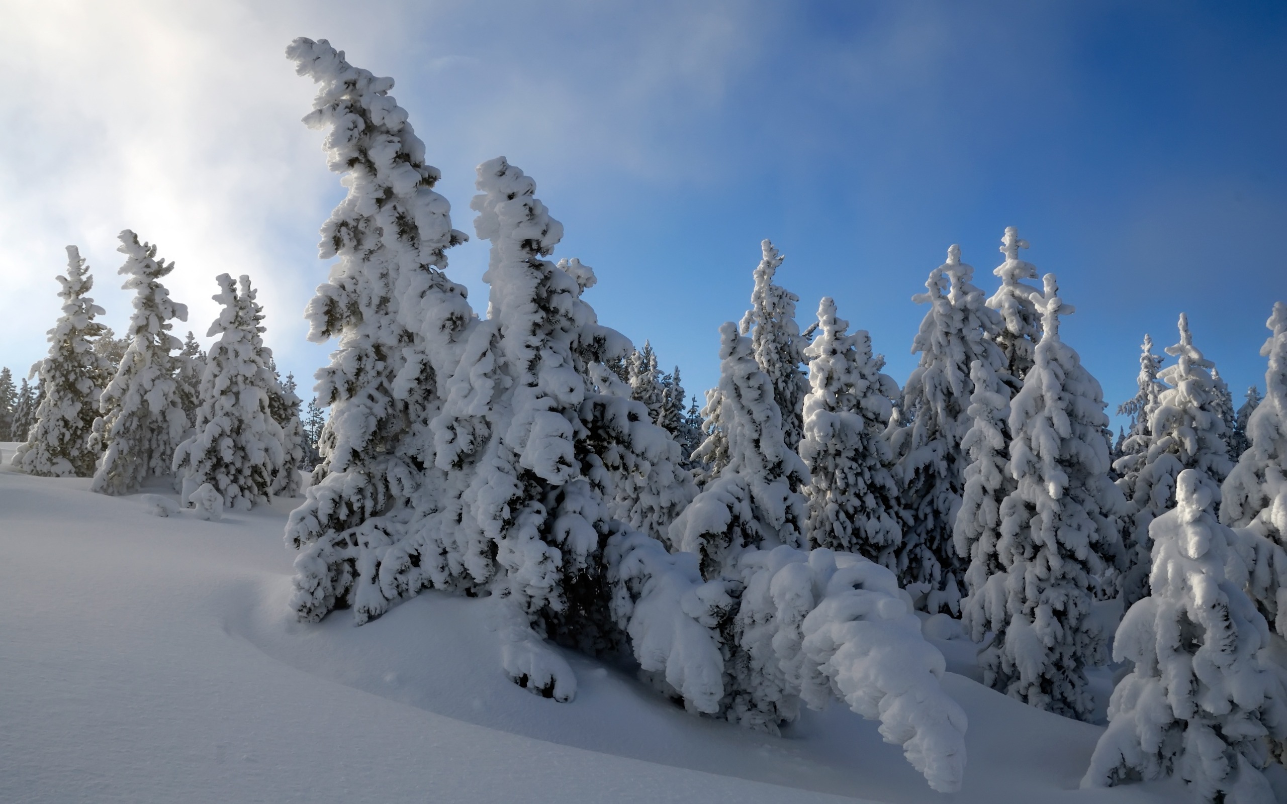 Snow Wallpapers 1080p - HD Wallpaper 