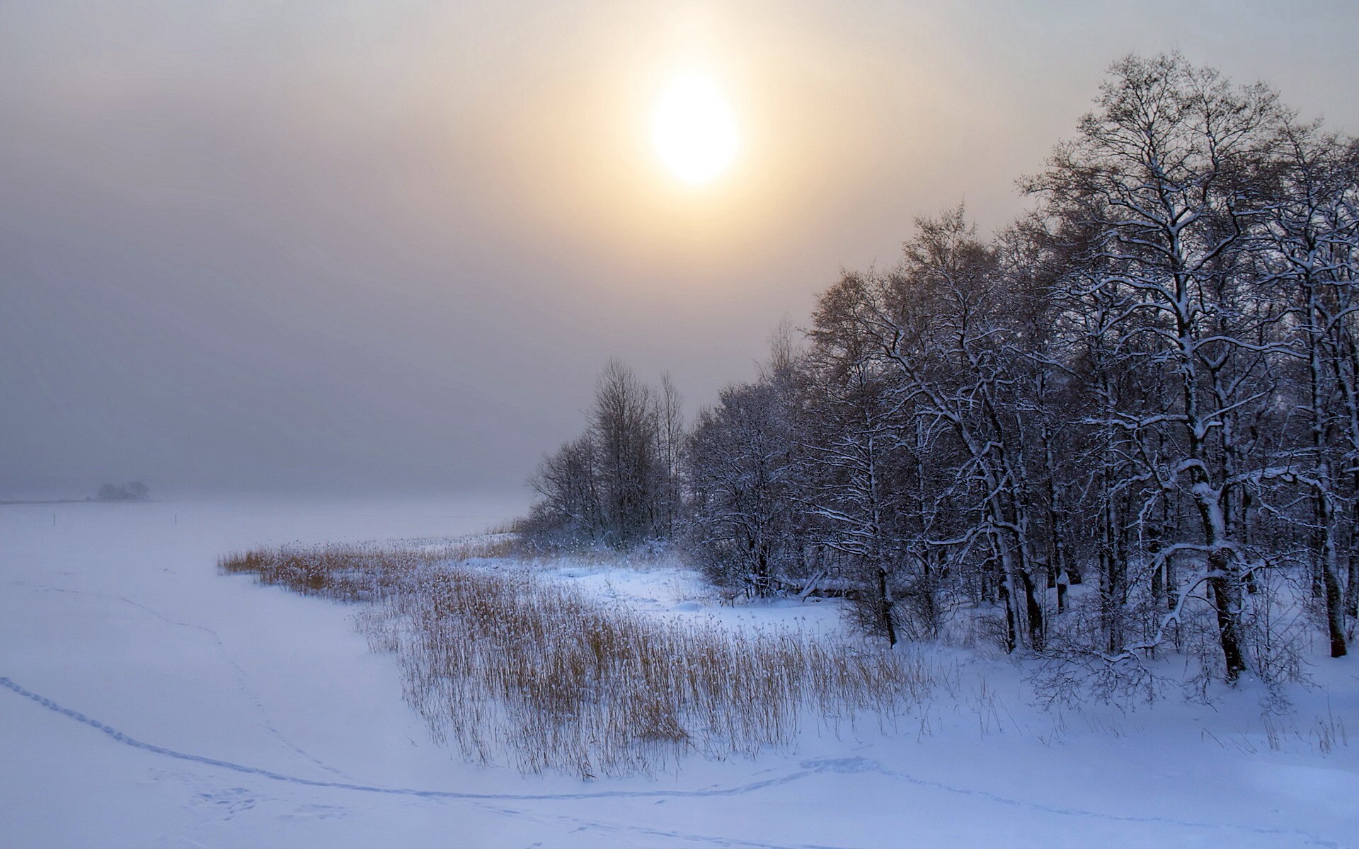 Winter Cloudy Sun - HD Wallpaper 
