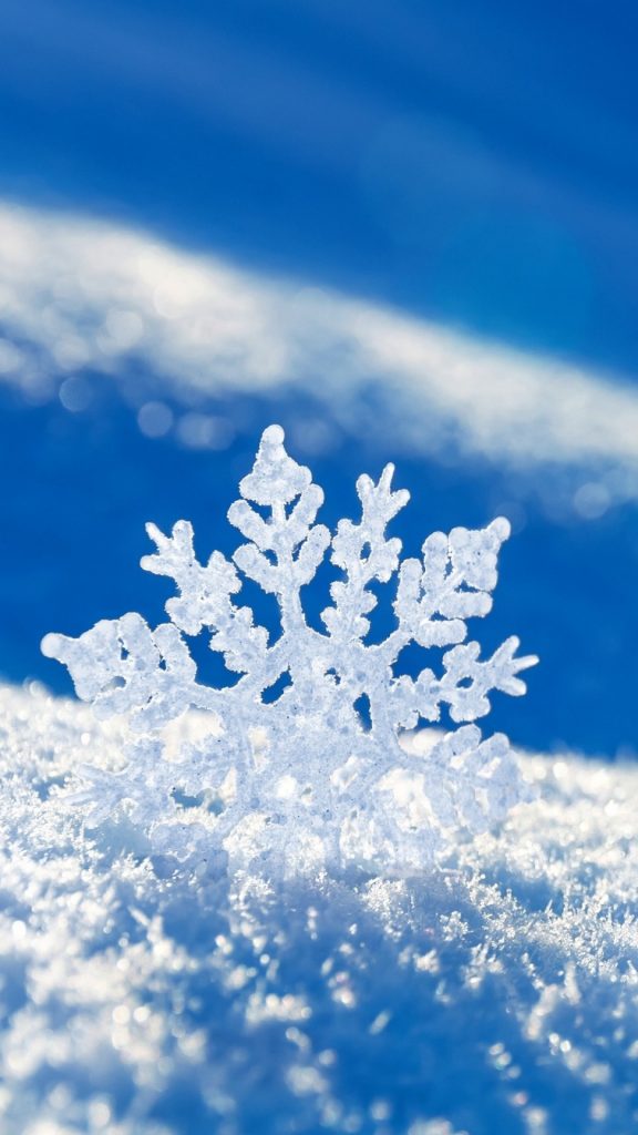 Macro White Snowflake Andro - Snowflake Wallpaper Iphone - HD Wallpaper 
