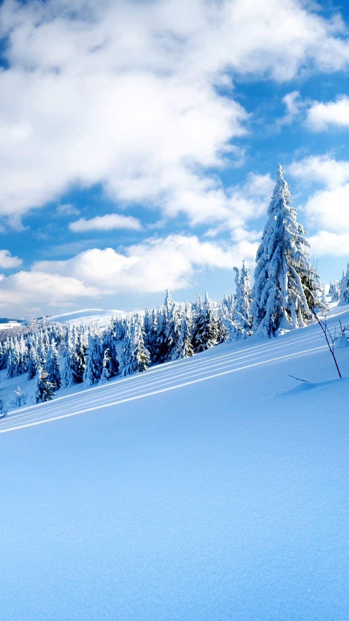 Snow Wallpaper Iphone - HD Wallpaper 
