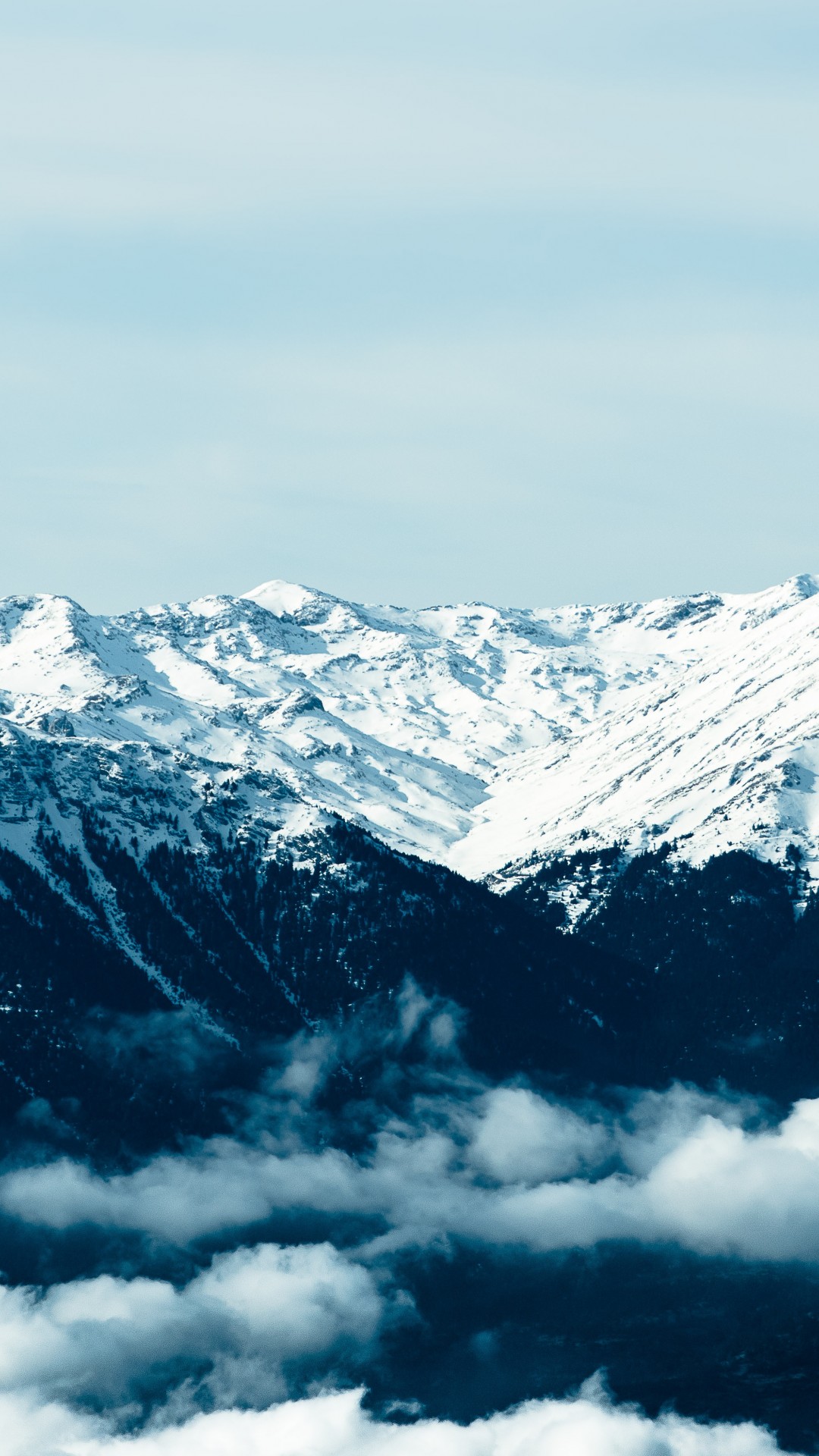 1080 X 2340 Pixels - HD Wallpaper 