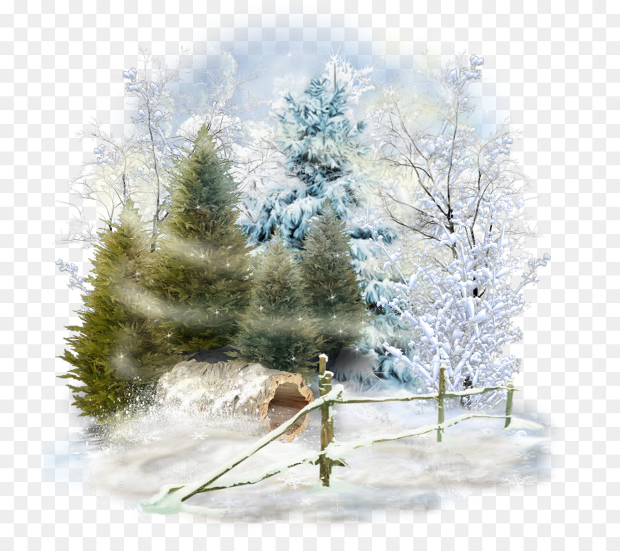 Fichte Winter Desktop Wallpaper Schnee Landschaft Teli Taj Allatok Gif 900x800 Wallpaper Teahub Io