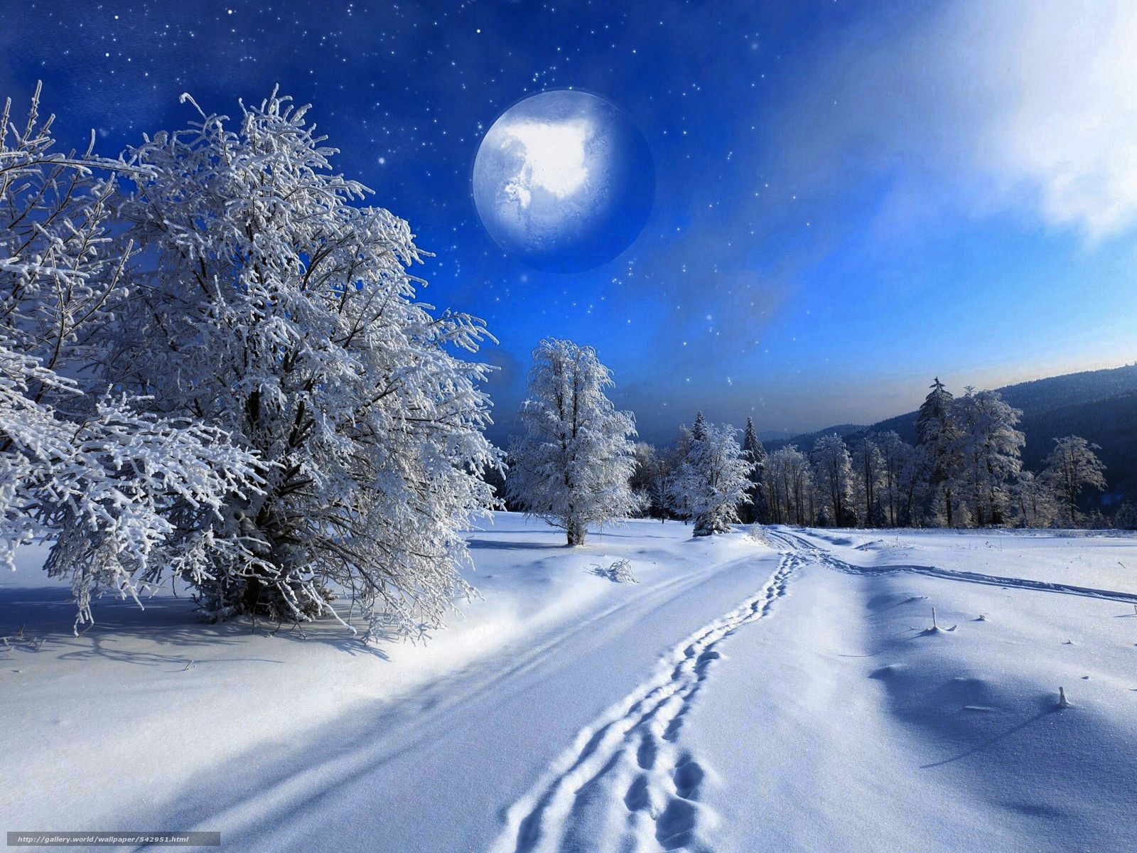 Download Wallpaper Winter, Snow, Nature Free Desktop - Imagini De Iarna Pentru Fundal - HD Wallpaper 