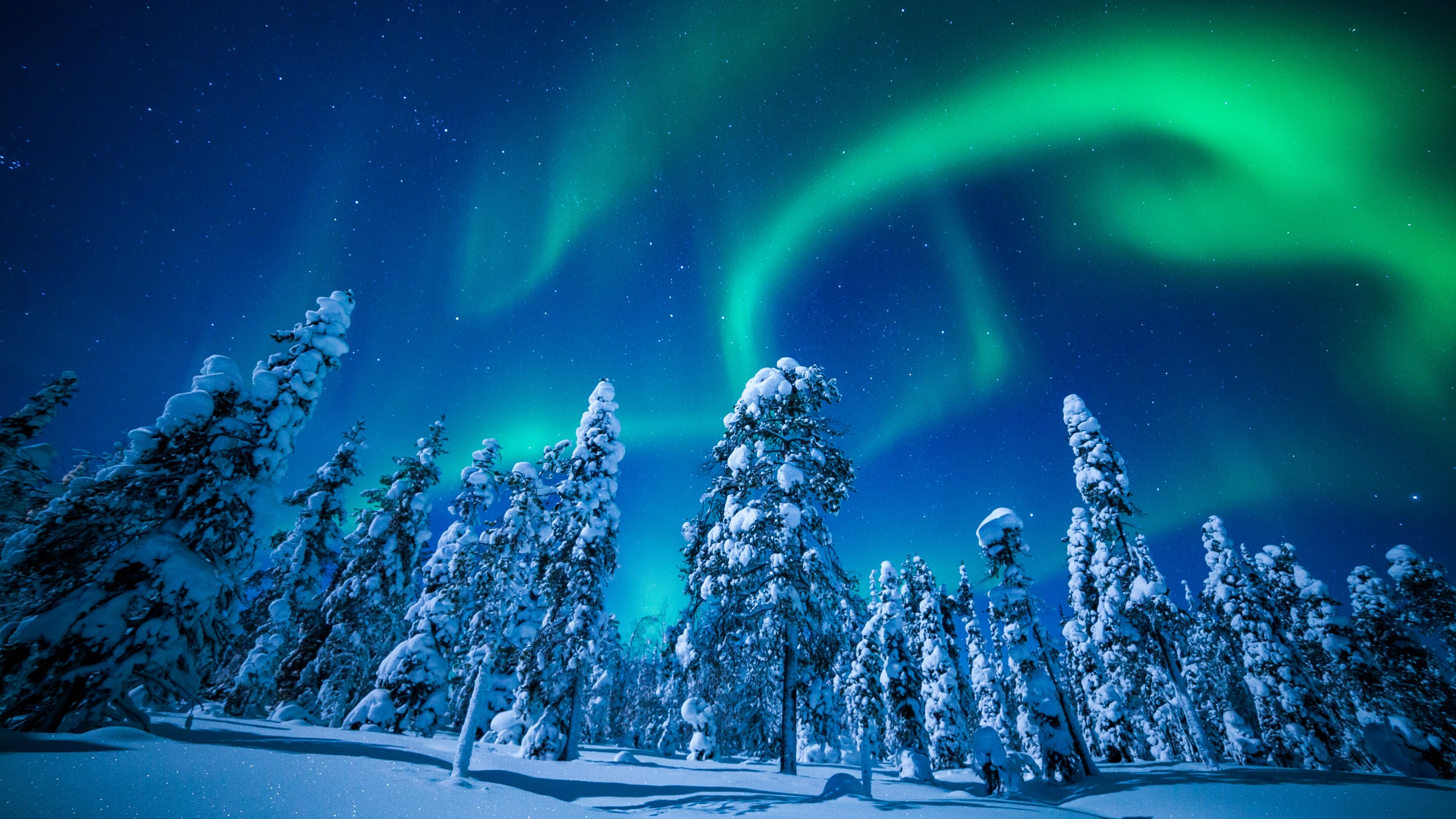Northern Lights Finland Snow - HD Wallpaper 