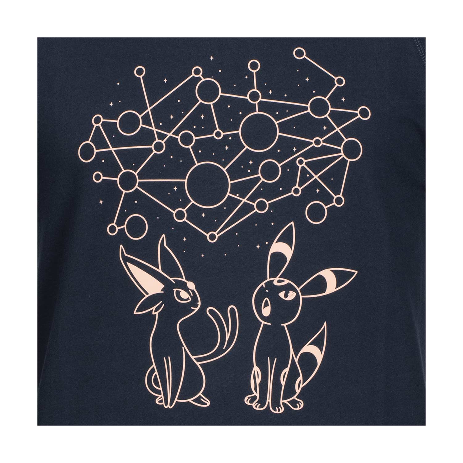 Reindeer - HD Wallpaper 