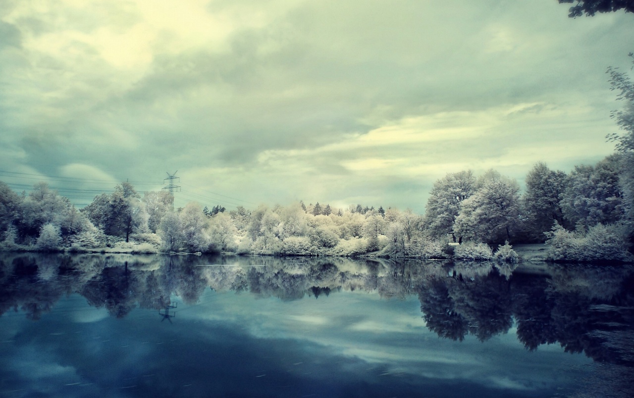 Winter-landschaft Wallpapers - Winter Frost Facebook Cover - HD Wallpaper 