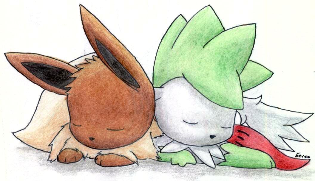 Eevee And Shaymin Sky Form - Shaymin And Eevee - HD Wallpaper 