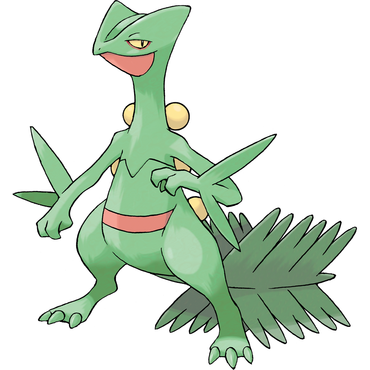 Thumb Image - Pokemon Sceptile - HD Wallpaper 