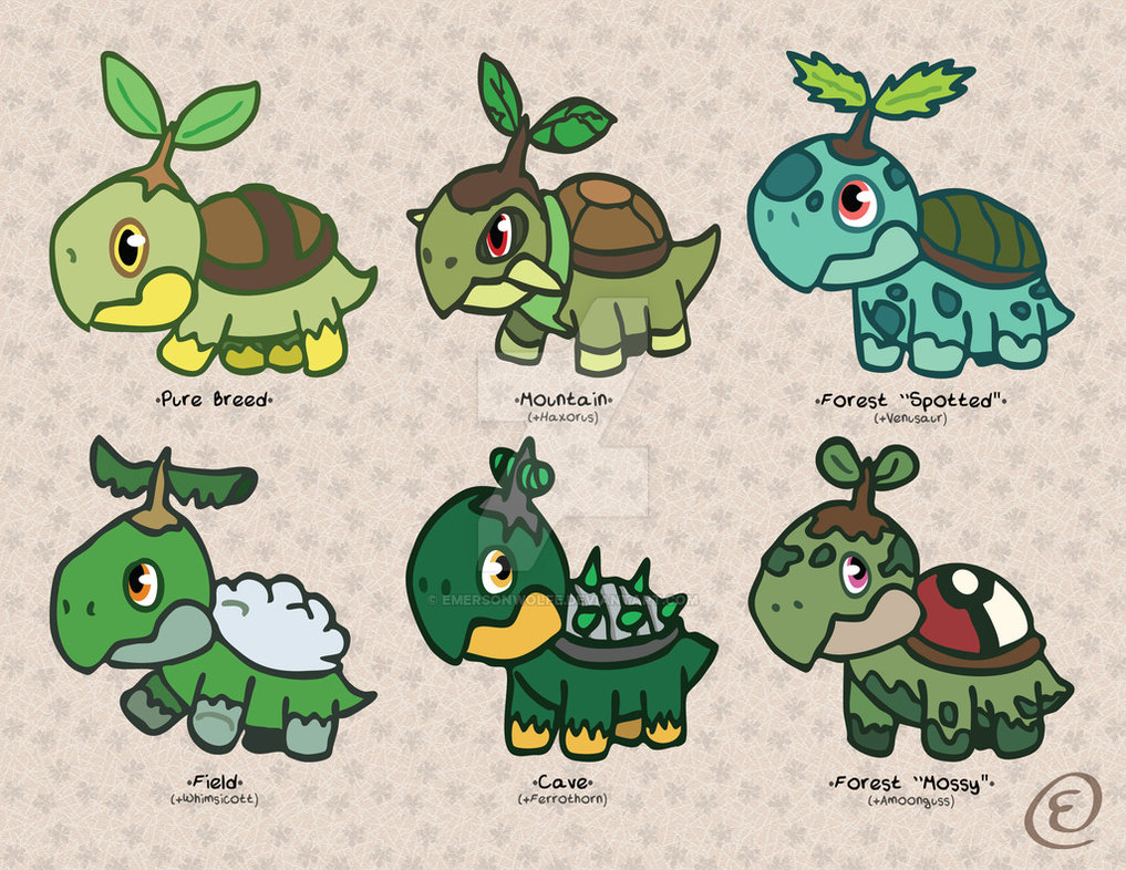 Turtwig Wallpapers Wallpaper - Turtwig Variants - HD Wallpaper 