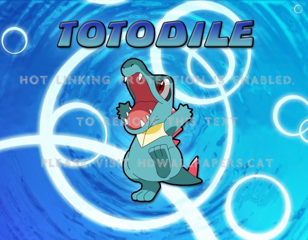 Totodile Water Pokemon Cartoon Anime - HD Wallpaper 