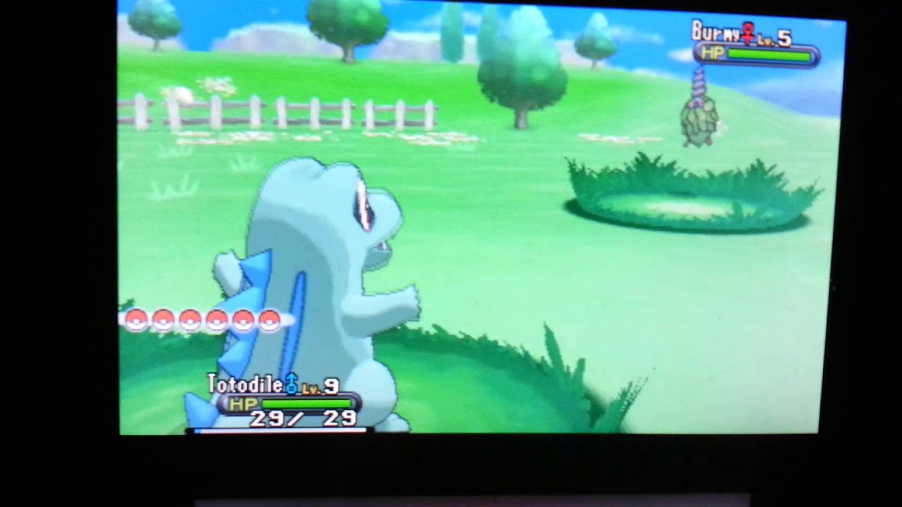 Pokemon X And Y Battle Screen - HD Wallpaper 