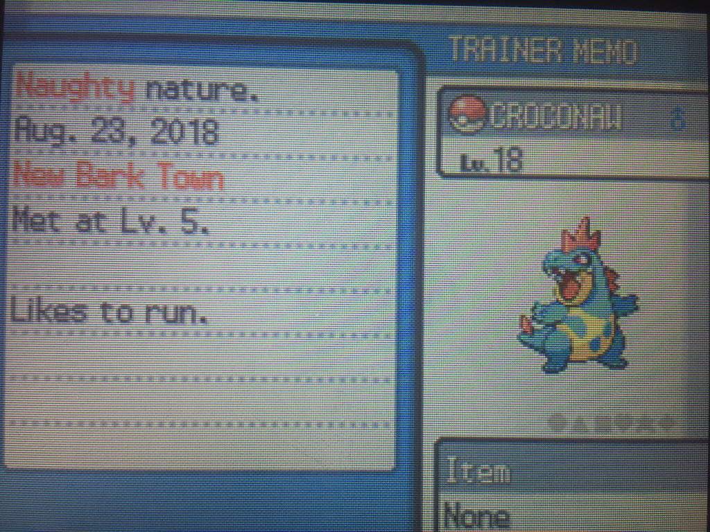 Melhor Nature Para Dratini - HD Wallpaper 