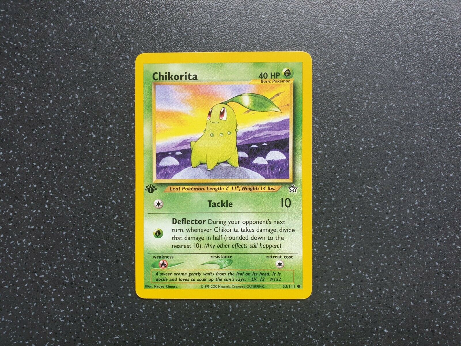 Chikorita Neo Genesis - HD Wallpaper 