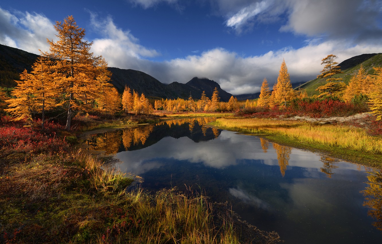 Photo Wallpaper Autumn, Water, Trees, Mountains, Stream, - Russia Autumn - HD Wallpaper 
