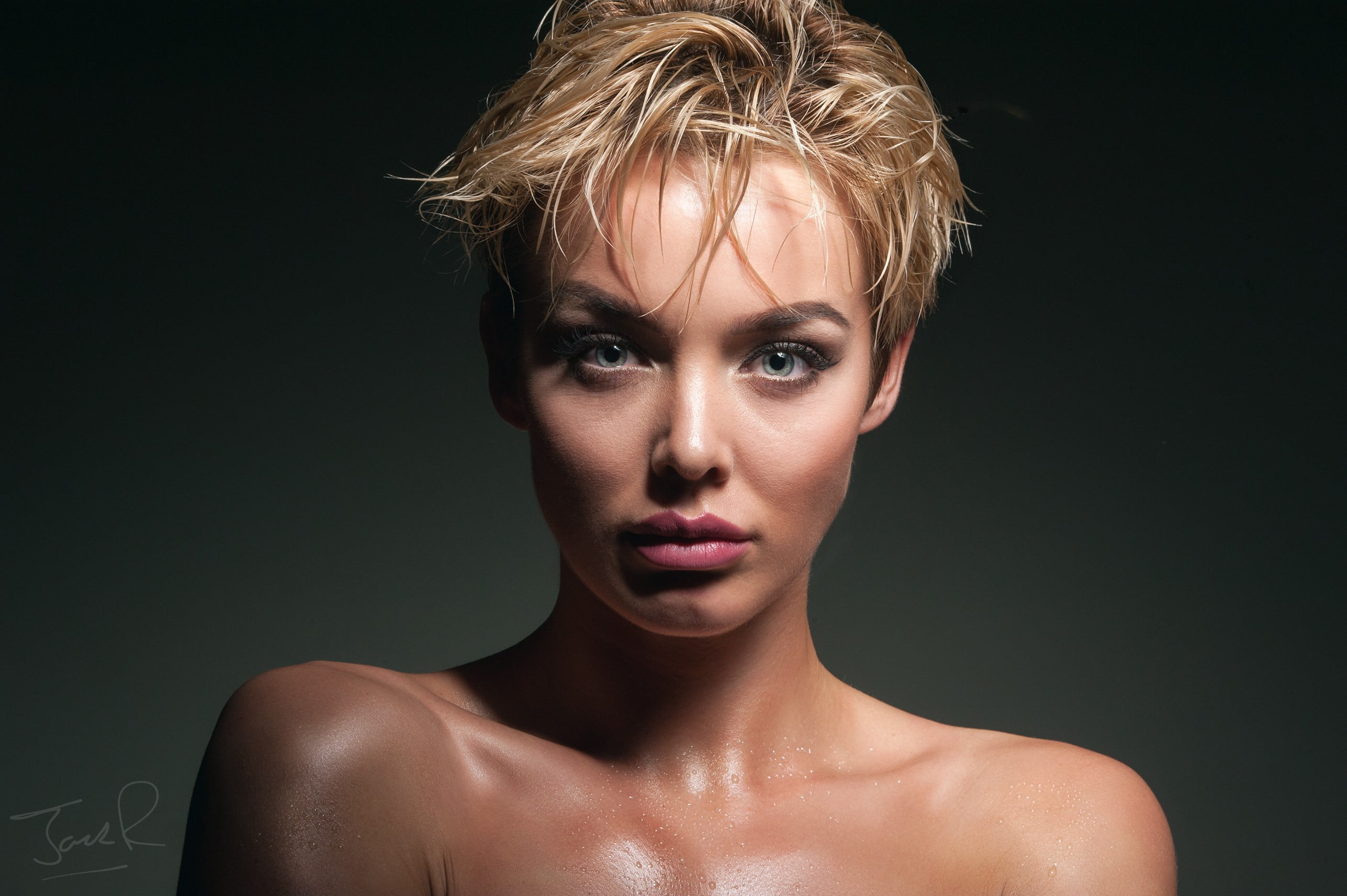 Jack Russell Photography Model - HD Wallpaper 