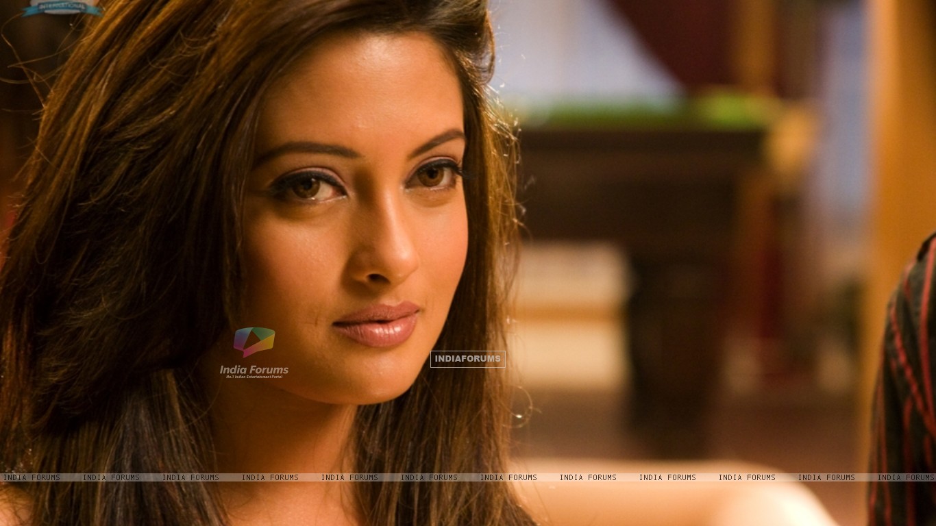 Riya Sen Hot - HD Wallpaper 